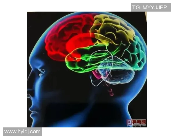 北京乒乓球队防反体系解析与战术运用探讨